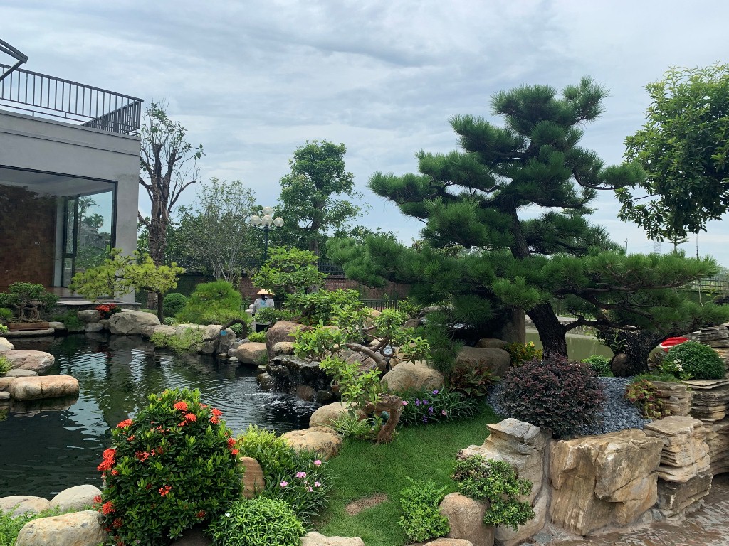 Thi Công Cảnh Quan Sân Vườn Đẹp