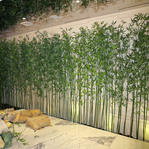 Cây trúc quân tử 2