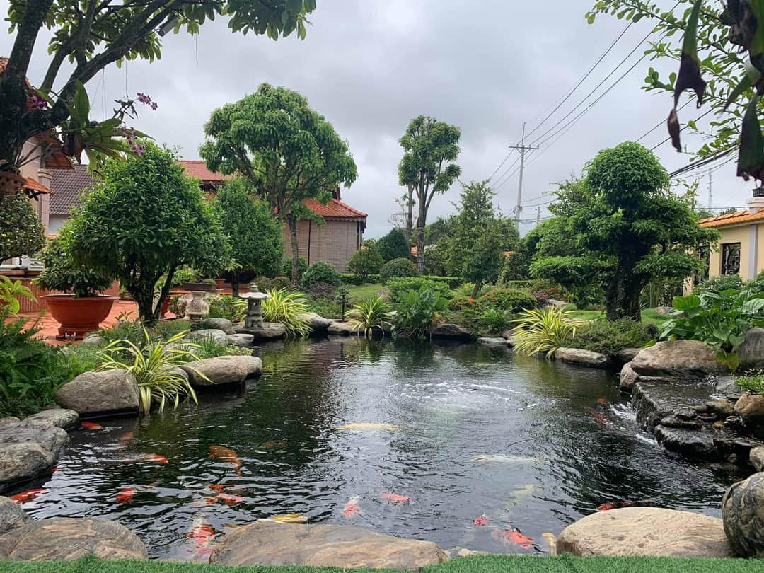 Thi Công Hồ Cá Koi Lâm Đồng Chuẩn Nhật