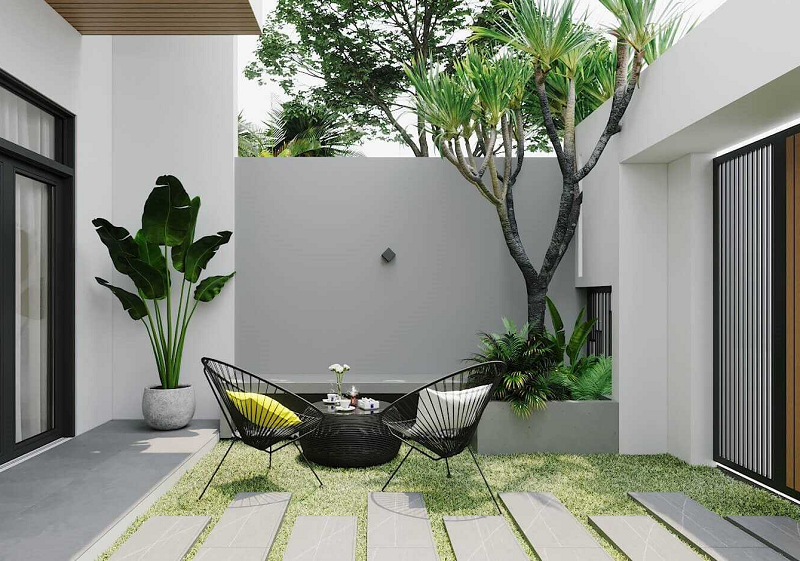 Cây bóng mát Bảo Lộc