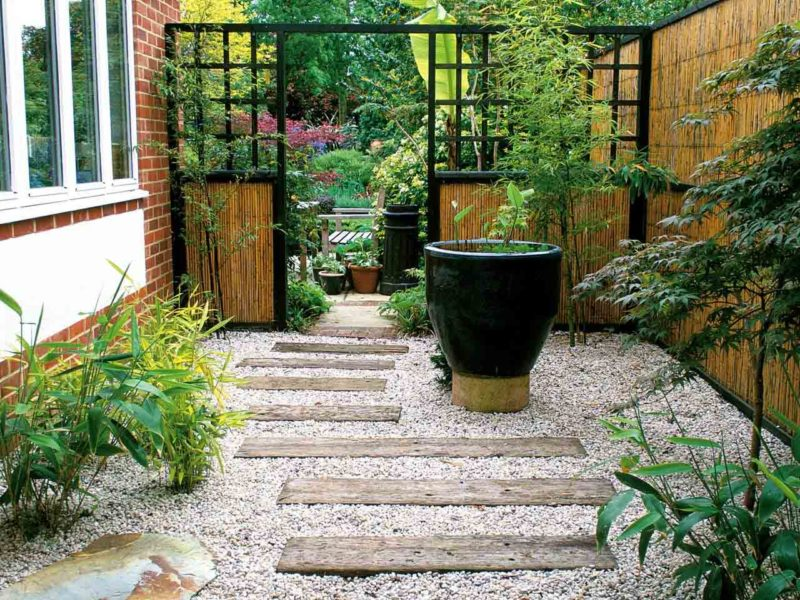 Sân Vườn Nhà Phố Bảo Lộc: Giải Pháp Xanh Cho Diện Tích Nhỏ Dưới 50m²