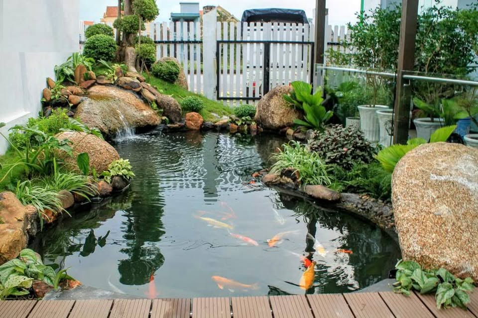 Thi Công Hồ Cá Koi Bảo Lộc: Chi Phí & Quy Trình 2026