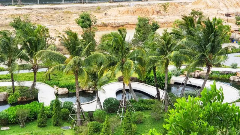 15 Loại Cây Cảnh Quan Tây Nguyên Dễ Sống, Ít Chăm Sóc