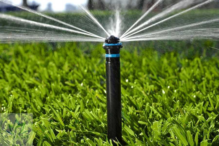 Tưới Nước Tự Động Cho Sân Vườn: Có Nên Lắp Không? Chi Phí Bao Nhiêu?