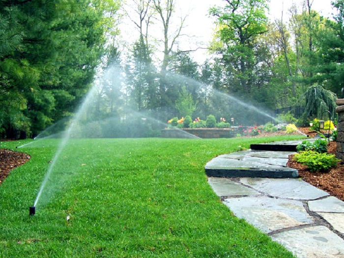 Tưới Nước Tự Động Sân Vườn: Có Nên Lắp? Giá Bao Nhiêu?